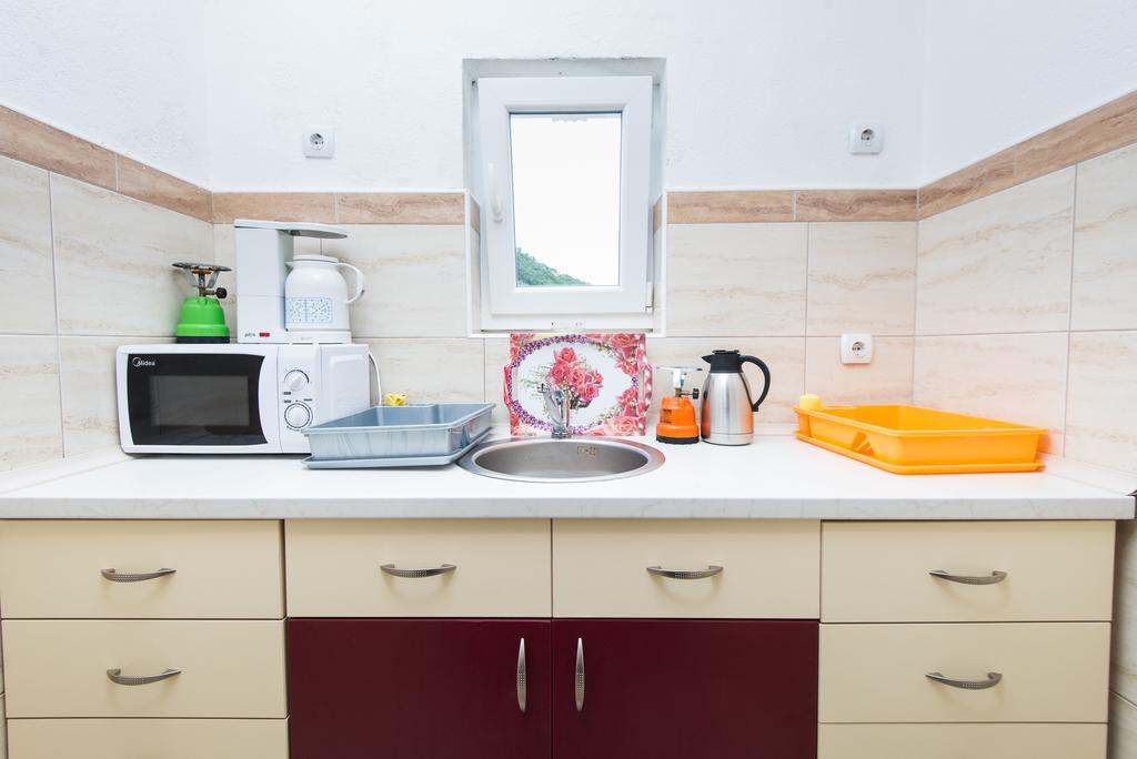 Hotel Wellness & Spa Angelo Gabriel Petrovac 部屋 写真